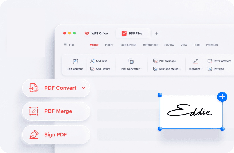 WPS PDF